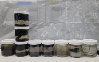 Seawater samples collected as January 2025 fires in Los Angeles raged.