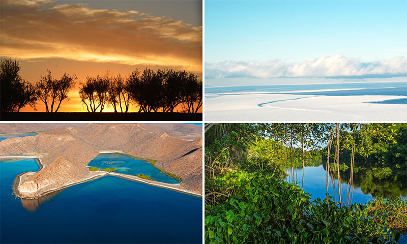 Environments for environmental systems