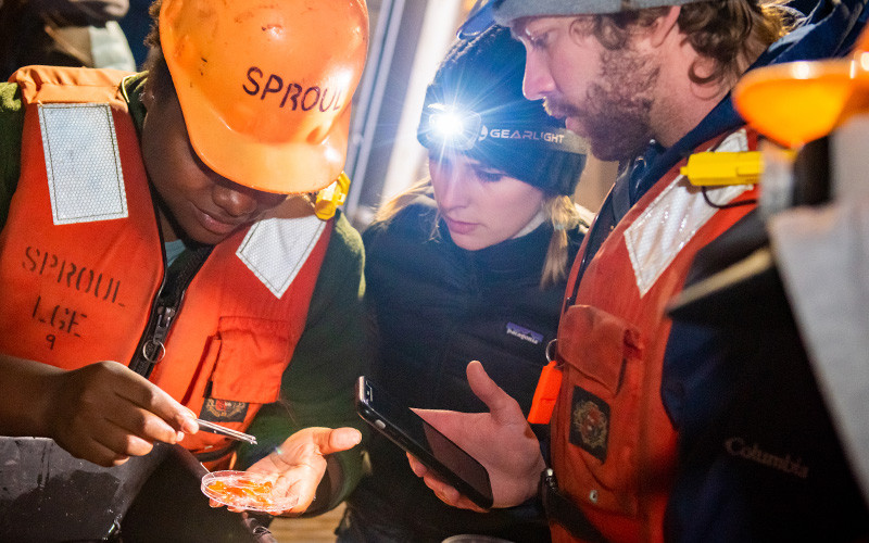 Students aboard RV Sproul review specimens during a deep-sea biology field course.